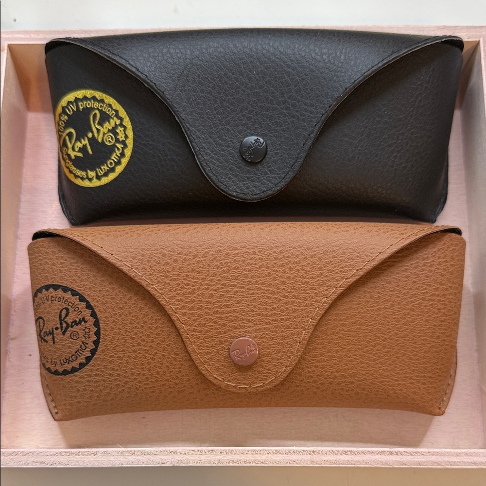 Ray-Ban Black and Brown Sunglasses Cases